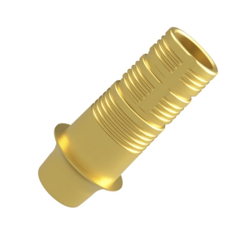 Interface - Megagen Anyridge