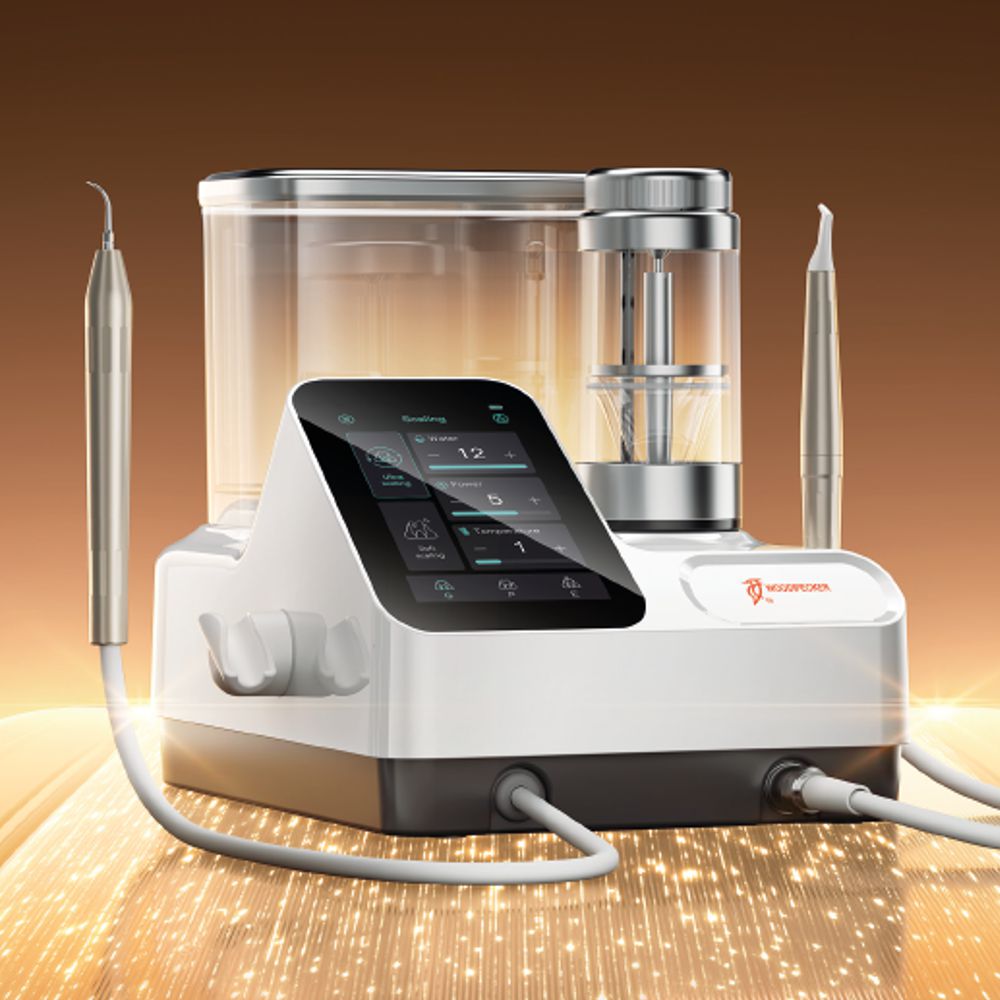 Woodpecker PT-E Profylax System
